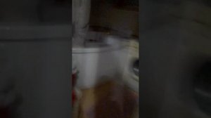 это всё minecraft шучу это прятки