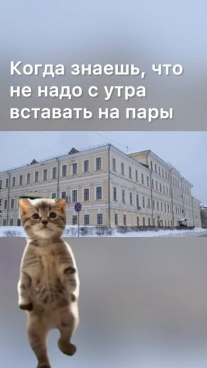 Каникулы! Лучшая пора для студентов!