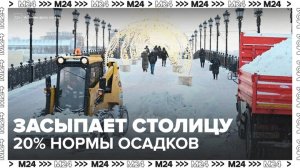 Около 20% от месячной нормы осадков выпало в Москве за сутки - Москва 24