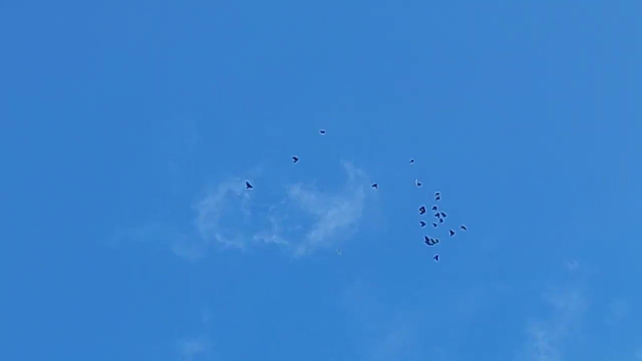 12 июня 2022 г.