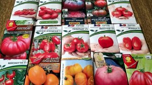Семена 2026:  Мой ПЛАН по ТОМАТАМ. Сорта которые не подведут