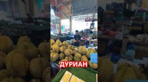 Дуриан  Самый вонючий фрукт в мире! КОРОЛЬ фруктов! Фруктовый рынок в Таиланде #thailand #shorts