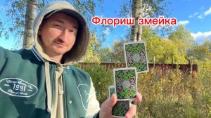 Яркий флориш под названием змейка