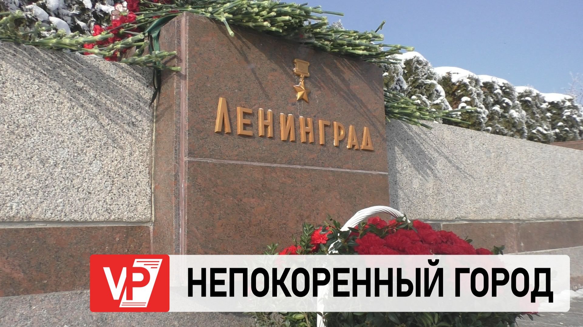 ВОЛГОГРАДЦЫ ПРИНЯЛИ УЧАСТИЕ В МИТИНГЕ В ЧЕСТЬ ГОДОВЩИНЫ ОСВОБОЖДЕНИЯ ЛЕНИНГРАДА смотреть онлайн