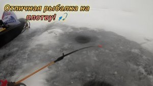 Сестрорецк. 18.01.26.