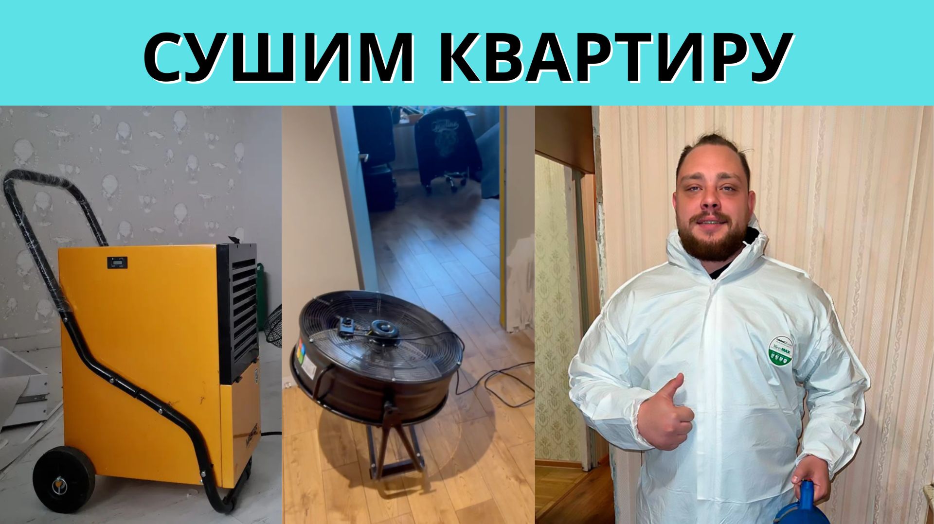 Сушка квартира