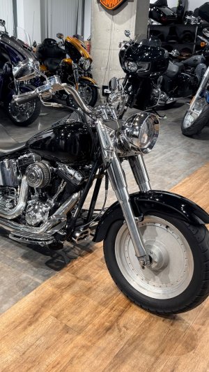 2003 HD Fat Boy Willie G Rinehart