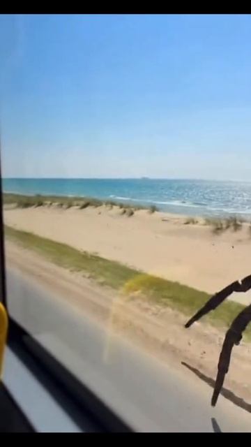 котосовушка в молочном