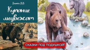 В. Бианки "Купание медвежат"