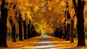 Благая судьба. Песня.