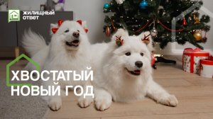 Счастье в каждом доме: история глазами питомцев