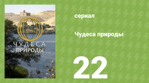 Чудеса природы 22 серия (документальный сериал, 2011)
