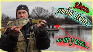 Здесь рыбы нет! Но не у всех...