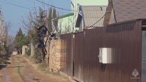 Вражеский беспилотник, упавший в садоводческом товариществе, обезвредили в Севастополе