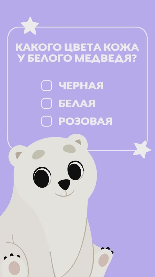 Квиз! Скорей отвечай на вопросы! 💥 смотреть онлайн