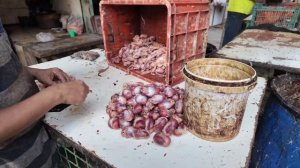 Другой мир/Уличная Еда с Мухами 🤢-Самый мерзкий рынок в Мире🤮 Пакистан_