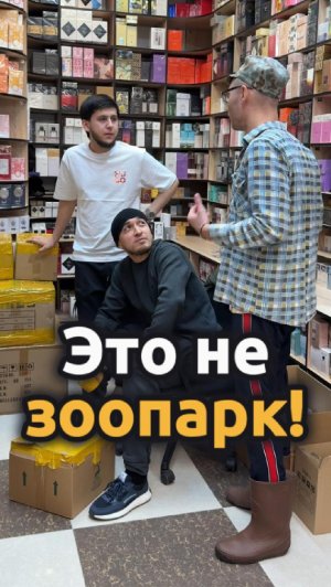 это не зоопарк