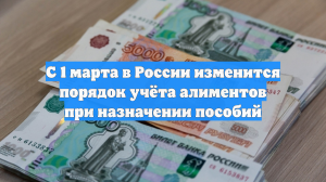 С 1 марта в России изменится порядок учёта алиментов при назначении пособий
