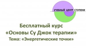 Су Джок бесплатный курс. Базисные энергетические точки