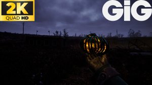 S.T.A.L.K.E.R. 2 - тайники #31 - Ядовитая дыра