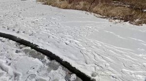 Зимние чудеса