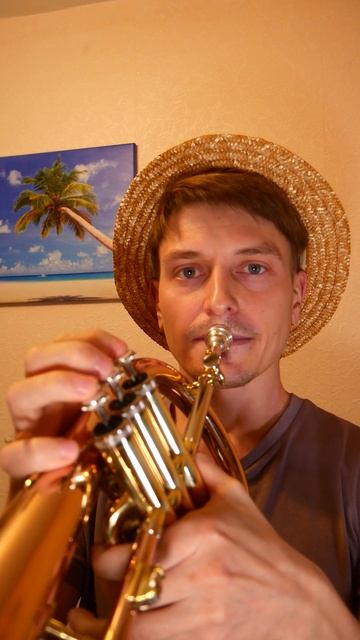 Ноты для трубы Bink's sake OST One Piece