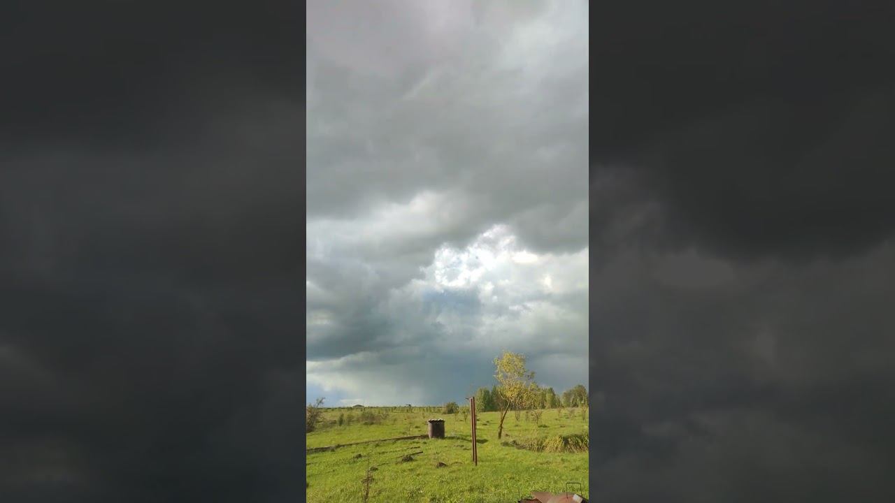 Отличный день для рыбалки  #fishing #nature #платнаярыбалка #рыбалка #fish #carp #travel #lake