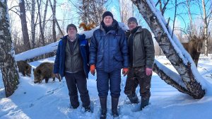 МОРОЗ БЕСПОЩАДЕН ! ДИКОМУ ЗВЕРЮ НЕ ВЫЖИТЬ БЕЗ ПОМОЩИ ЧЕЛОВЕКА. №376