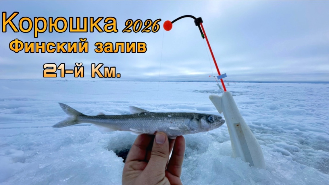 Корюшка 2026/Финский залив 21-й км/Посёлок Песочное смотреть онлайн
