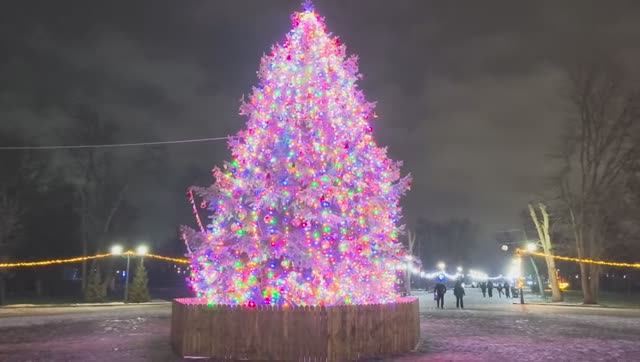 HDR PLUS Луганск Новогодний Парк Горького на Рождество Христово №1 смотреть онлайн