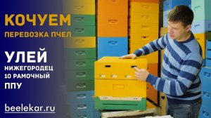 Кочевка пчел  10 рамочный  улей ППУ Нижегородец