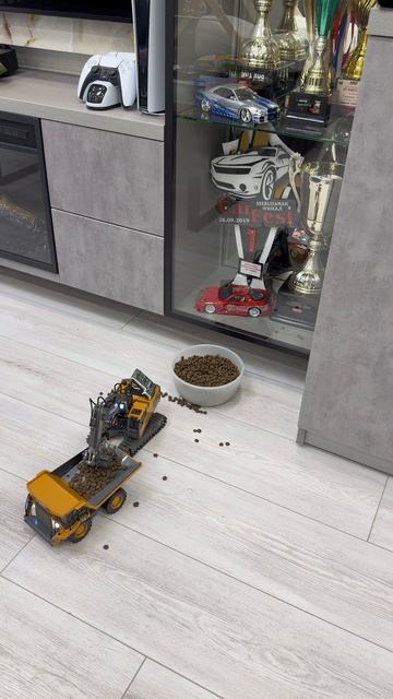 Кормим котов с удовольствием 😸 смотреть онлайн