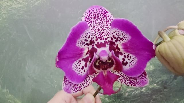 а 103 смотреть онлайн