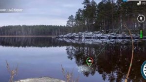 Как поймать толстолобика в игре My Fishing World