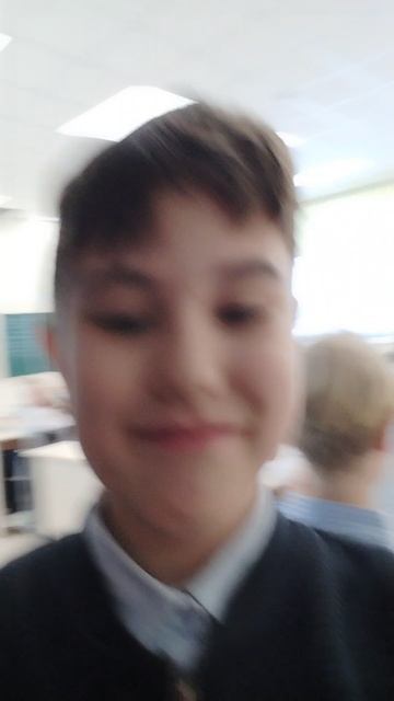 мой зоопарк