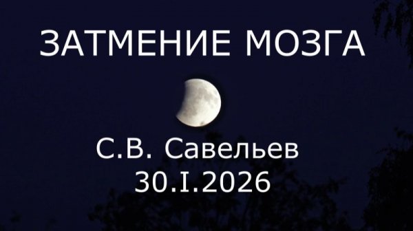 С.В. Савельев - Затмение мозга