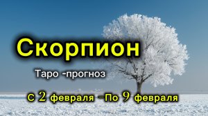 СКОРПИОН 💖ТАРО ПРОГНОЗ ‼️02.02-09.02(2026) #прогноз #таро #скорпион