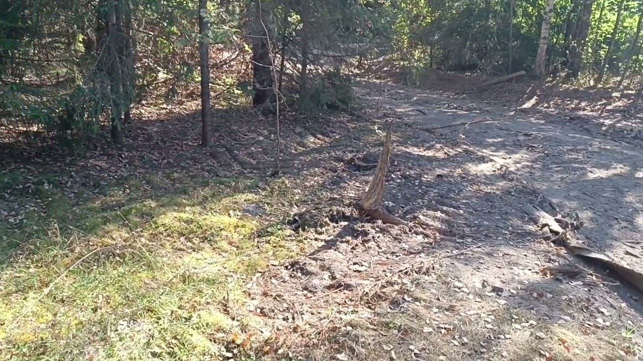 Пошутил над другом , а он ?!?!? смотреть онлайн