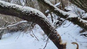 Старобельск река Белая Айдар Umar_Keyn-Lovestory