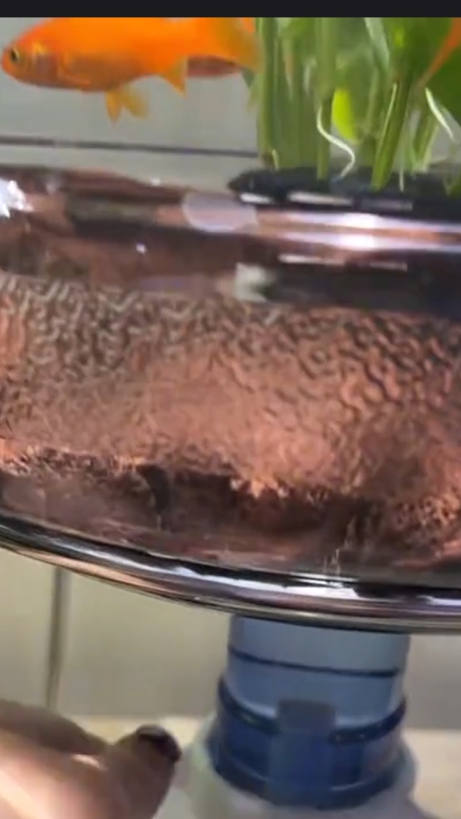 Подмена воды в самодельном аквариуме из бутылки .Из предыдущего ролика. смотреть онлайн