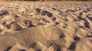 Марк и сокровища - Новые машинки _ Время рассказов для детей