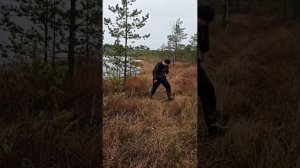 Земля дрожит !!!