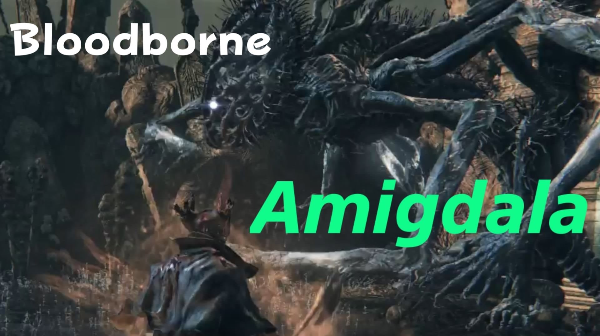 Bloodborne - босс Амигдала (PS5 Pro)