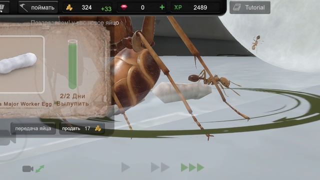 Новая игра про муравьев Ant Sim Tycoon 1 часть смотреть онлайн