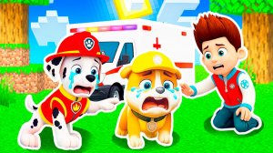 КРЕПЫШ СТАЛ ГНОМОМ! У СКАЙ ВЫРОС ХВОСТ! МАРШАЛ и ГОНЩИК ЩЕНЯЧИЙ ПАТРУЛЬ в МАЙНКРАФТ