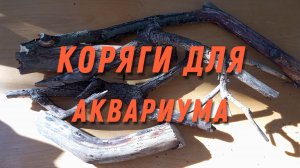 Коряги для аквариума своими руками