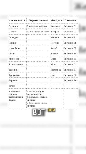 Правильное питание собаки - нормы и здоровье #калькуляторПорции #кашадлясобак