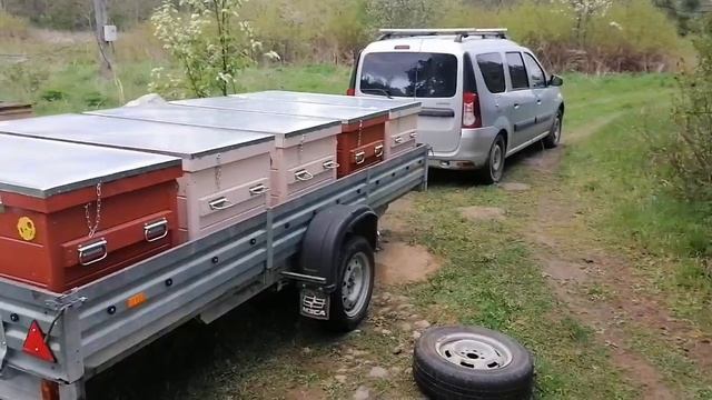 Готовь сани летом, а пасеку — прямо сейчас! смотреть онлайн