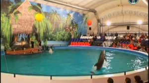 ЭСО Гостелерадио СССР пу С.Политикова - Мечта Суок из музыки к спектаклю Три толстяка