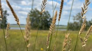 🎼. Scorpions – «Maybe I Maybe You»